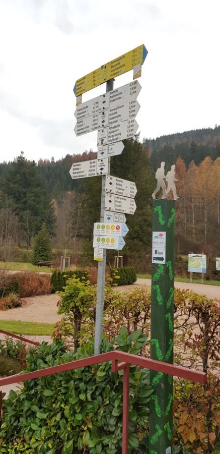Ferienwohnung Vogelnest Im Schwarzwald Baiersbronn Exterior photo
