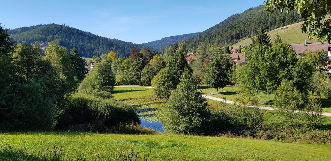 Ferienwohnung Vogelnest Im Schwarzwald Baiersbronn Exterior photo