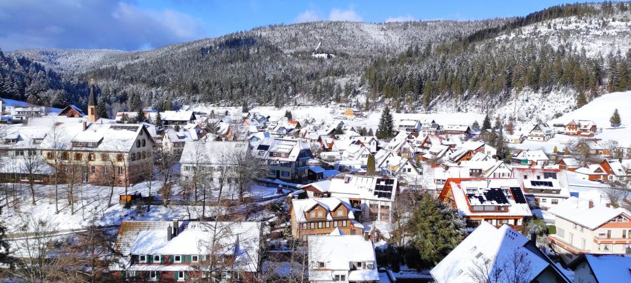 Ferienwohnung Vogelnest Im Schwarzwald Baiersbronn Exterior photo